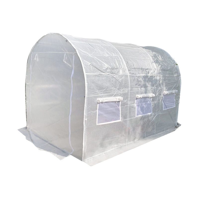 Rumah Kaca vs. Polytunnel: Struktur Pertumbuhan Manakah yang Merupakan Investasi Terbaik untuk Hasil Sepanjang Tahun?