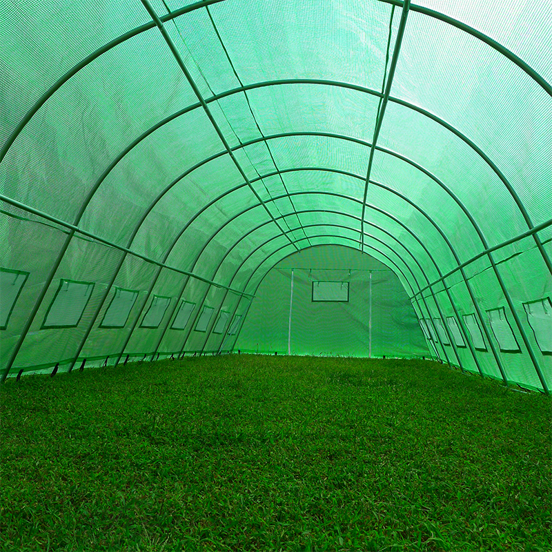 Rumah Kaca Polytunnel Tugas Berat Besar 4x10x2.3m